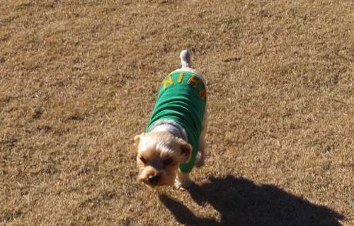 2014_122312-18しんちゃん１