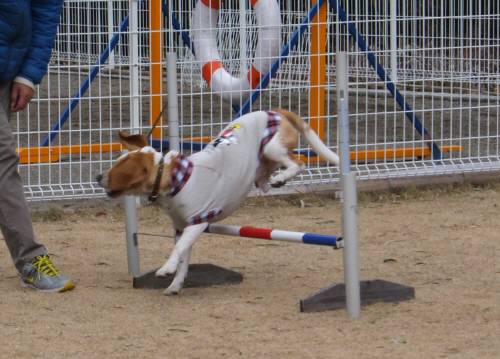 2015_010212-24むさし