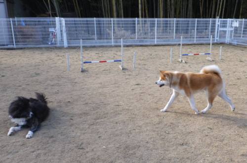 2015_01311-26マキトミー