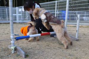 2015_01171-16ソラジャンプ