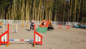 2015_01201-19パピ４