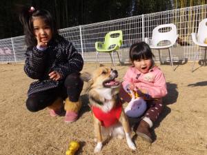 2015_01041-3りんどう２