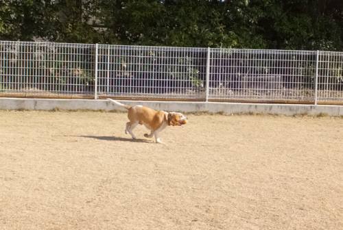 2015_01111-10ムサシ