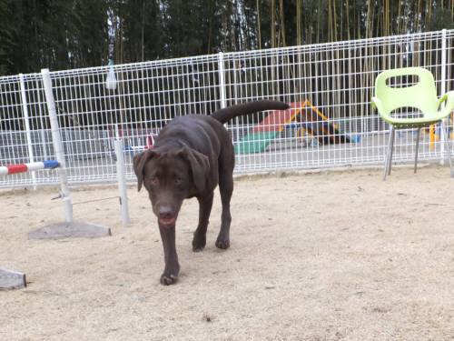 2015_010212-24ららちゃん