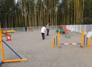 2015_01141-13しつけ