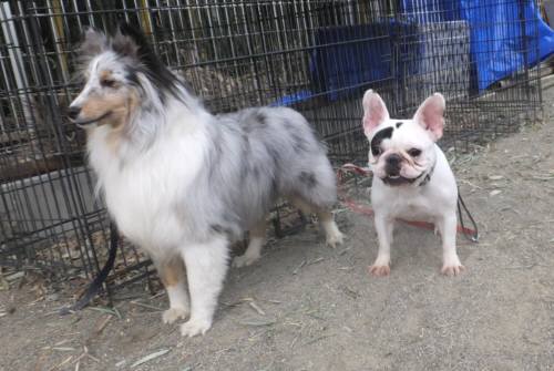 2015_01141-13チェルアイル