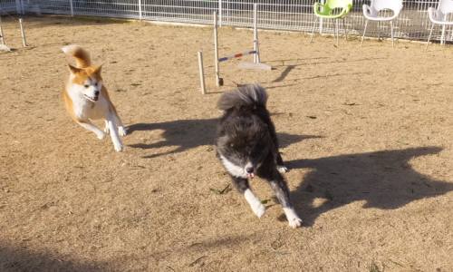 2015_01311-26トミーマキ