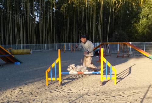 2015_01091-8メーテル２