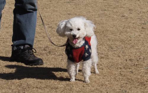 2015_01101-9タッキー