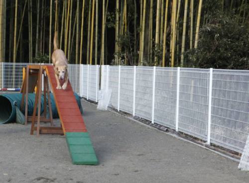 2015_01111-10アレックス