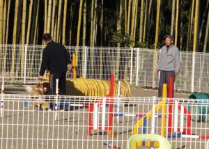 2015_01051-4シェリーアジ