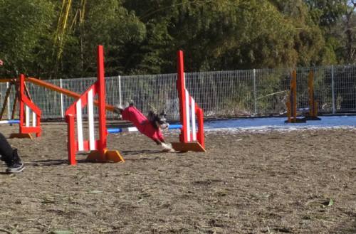 2015_01161-15みどジャンプ