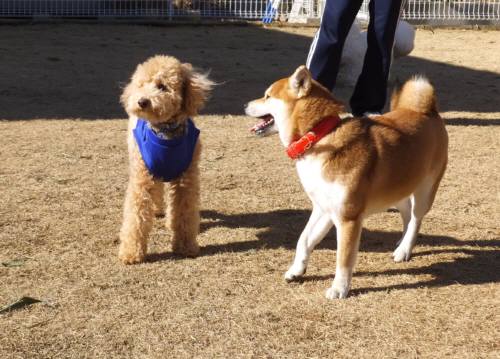 2015_01121-11愛ソラ