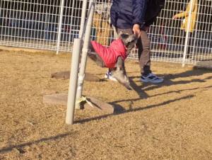 2015_01041-3もぐ２