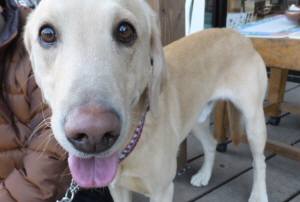 2015_01111-10ちゅい３