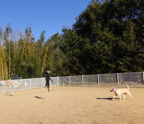 2015_01091-8ハルなっつ