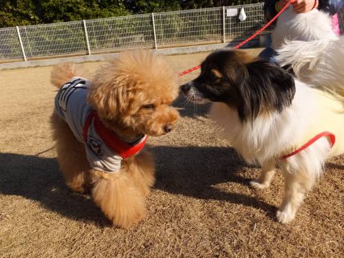 2015_01201-19ハルト