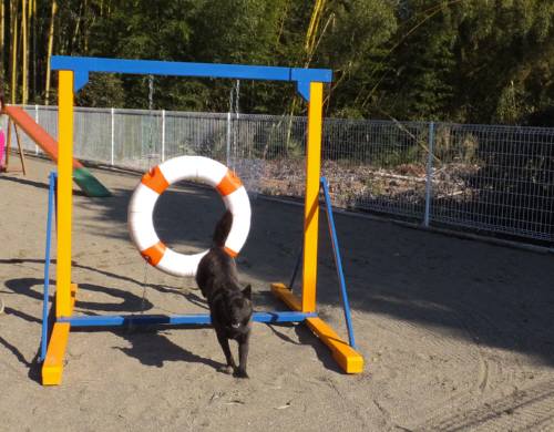 2015_01111-10サクラタイヤ