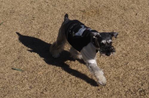 2015_010212-24クレア