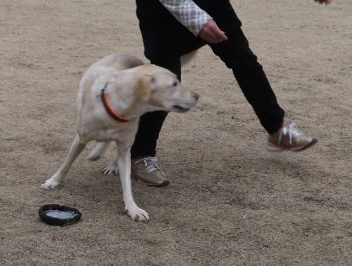 2015_01061-6ダンスなっつ