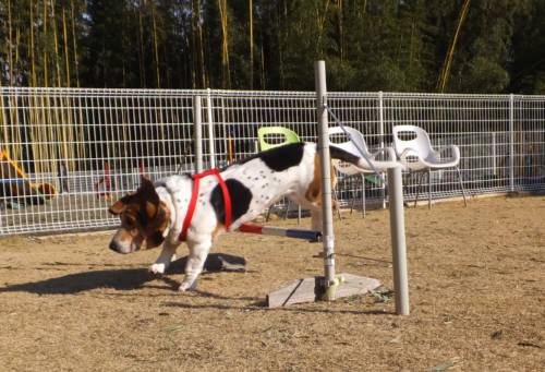 2015_01191-18まろん