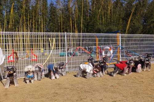 2015_01181-17集合写真