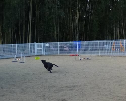 2015_01111-10アーク