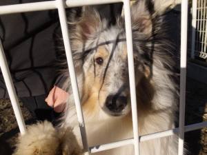 2015_01181-17アイル