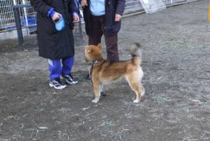 2015_01171-16しつけ