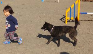 2015_01041-3さくら