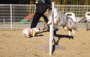 2015_01071-7アイル