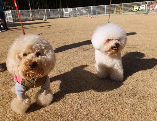 2015_01121-11リクアムル