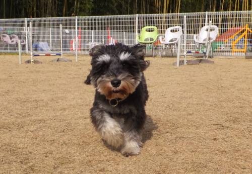 2015_01211-20ラック