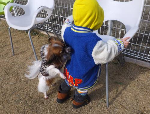 2015_01311-26くうしゅん