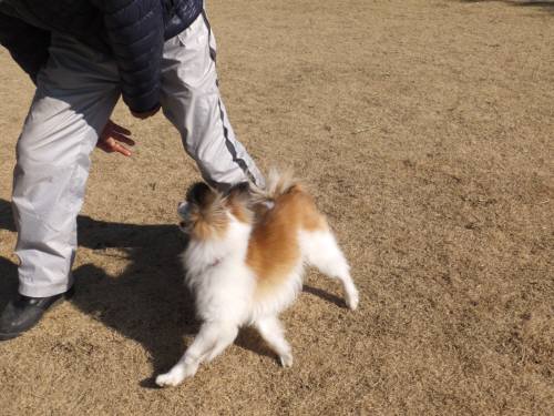 2015_01201-19ダンス