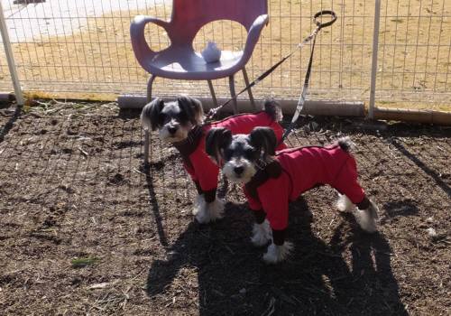 2015_01161-15くうみど