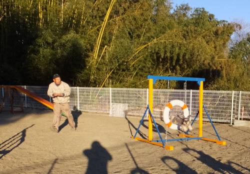 2015_01091-8メーテル