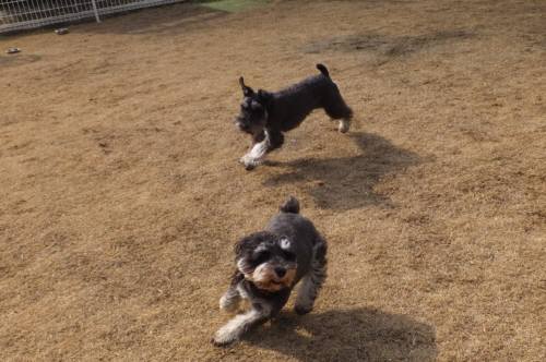 2015_01211-20ケルンラック