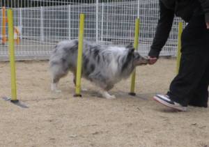 2015_01141-13アイル