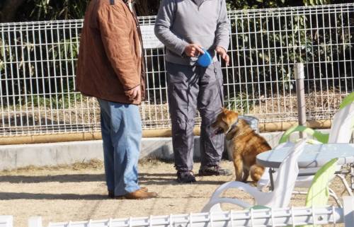 2015_01191-18しつけ