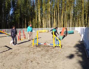 2015_01071-7しつけ