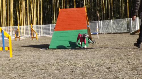 2015_01161-15みどＡフレーム