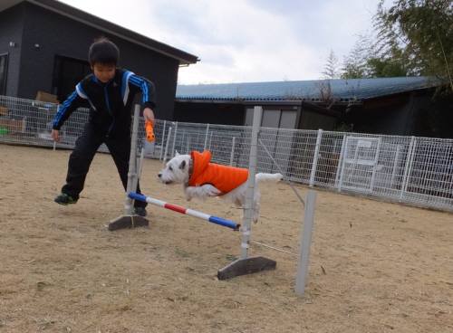 2015_01111-10ももジャンプ