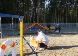 2015_01181-17アジ１