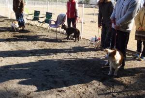 2015_01181-17アジ２