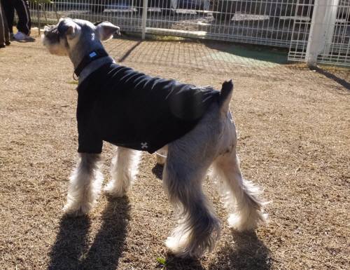 2015_01071-7クレア