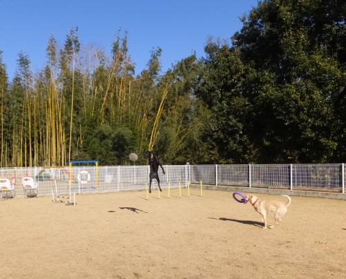 2015_01091-8ナッツハル