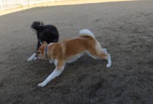 2015_01041-3トミー