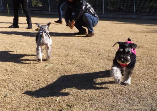 2015_010212-24ルねあ