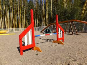 2015_01091-8パパハードル